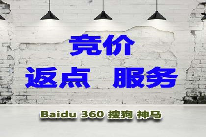 专业sem托管服务案例，揭秘广告投放优化策略