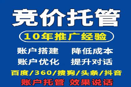 百度竞价排名策略解析：一家公司的广告投放策略全揭秘